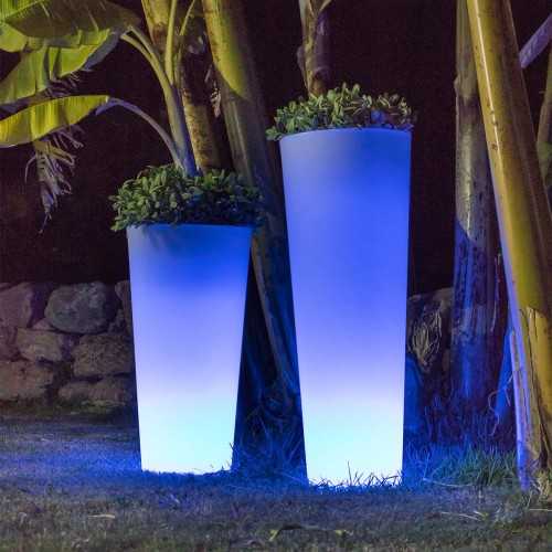 vaso FICUS 60