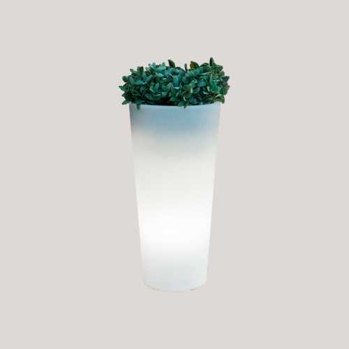 vaso FICUS 60