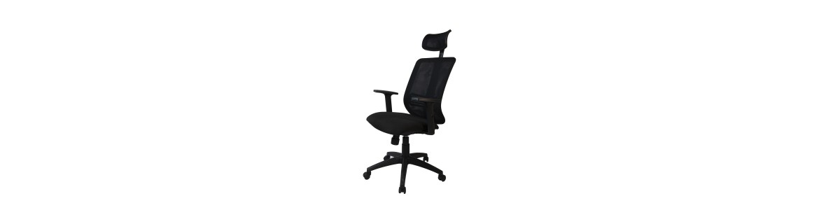 Desk chairs